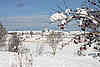 Winter 2010